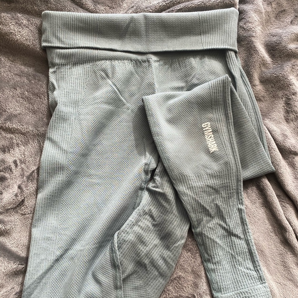 Gymshark Leggings - pale green/teal